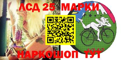 apvp Кингисепп