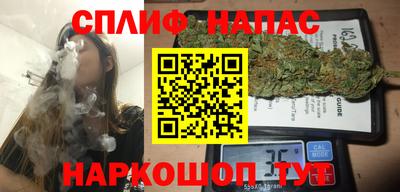 apvp Кингисепп