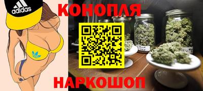 apvp Кингисепп