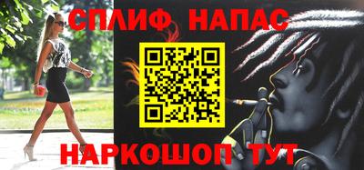 apvp Кингисепп