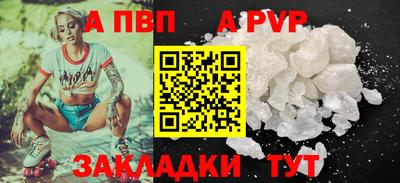 apvp Кингисепп