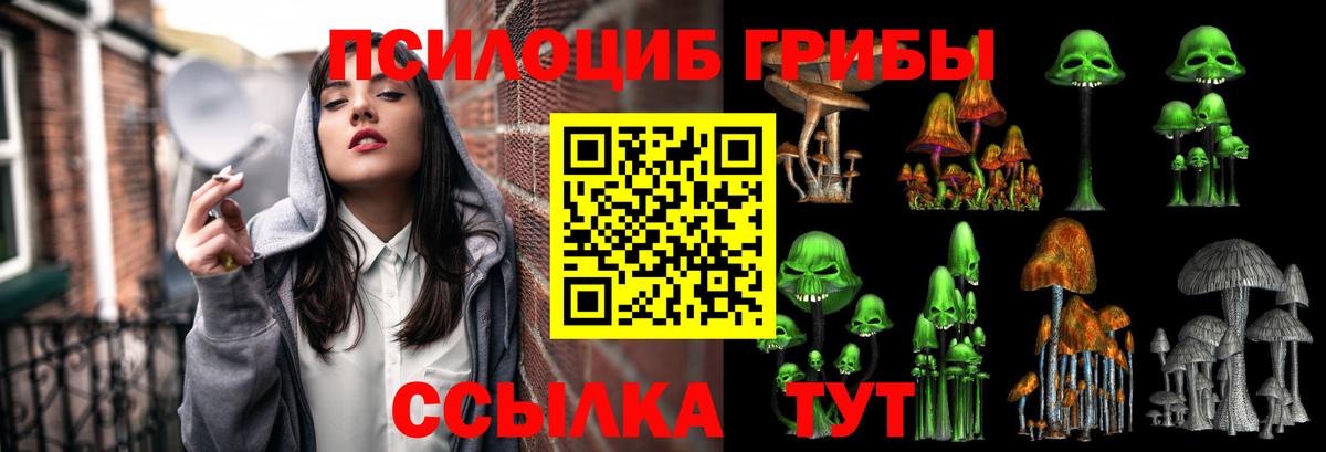 Галлюциногенные грибы прущие грибы  Вход с VPN  Куйбышев 
