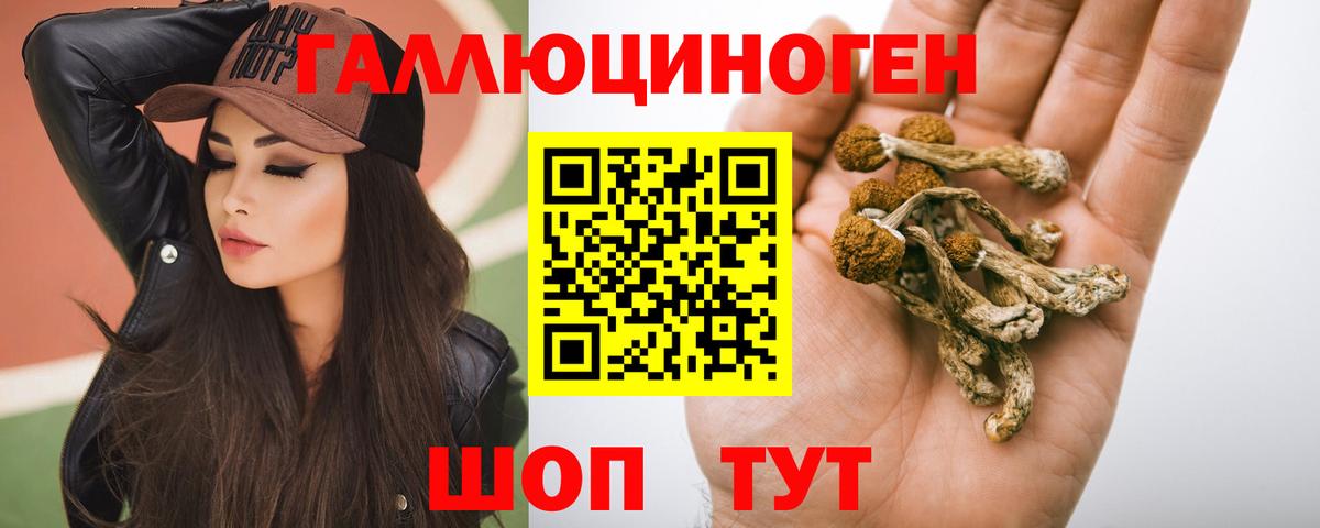 Псилоцибиновые грибы Psilocybine cubensis Куйбышев
